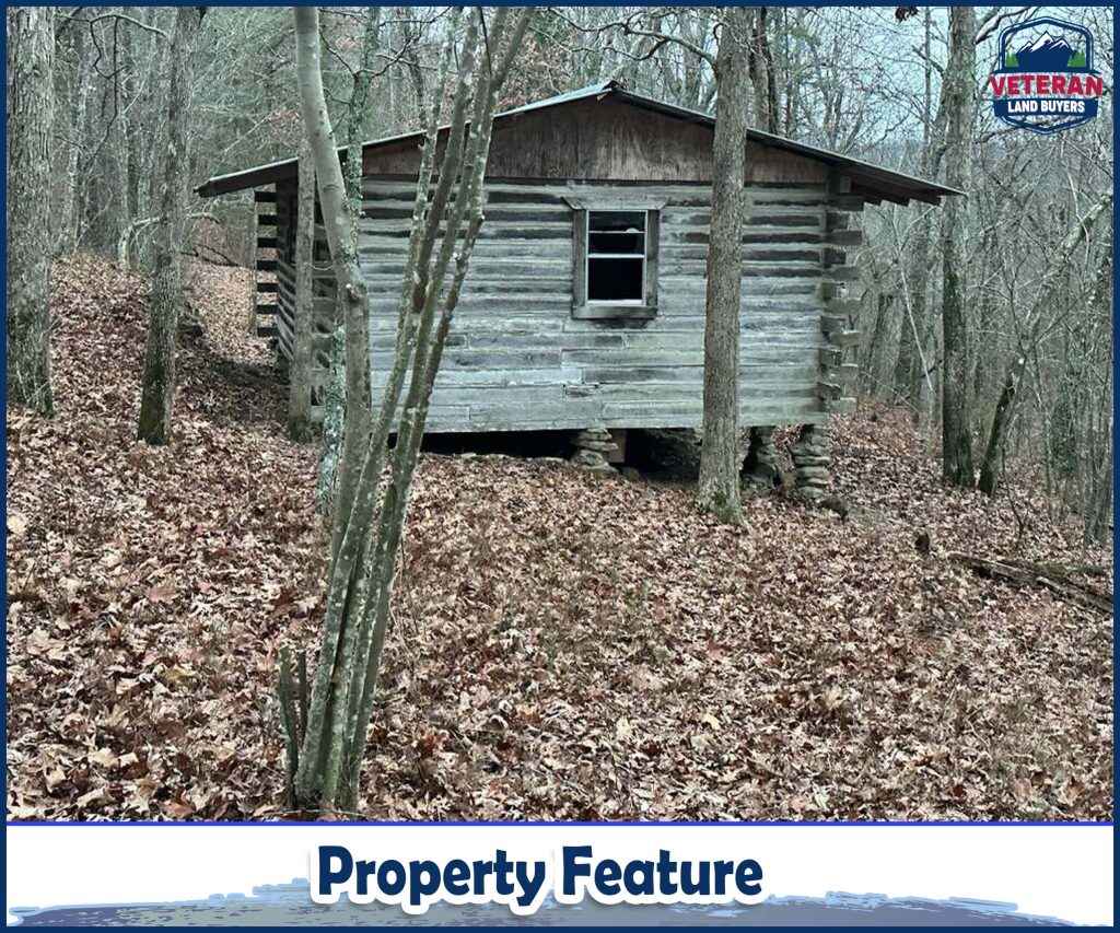 Cabins for sale Newton County AR