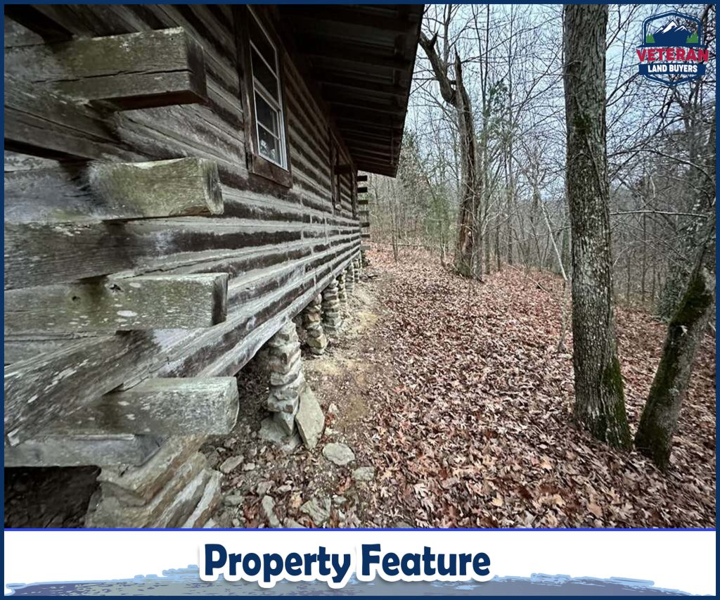 Cabins for sale Newton County AR