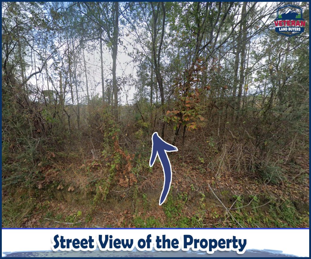 Land for Sale in Perry County MS