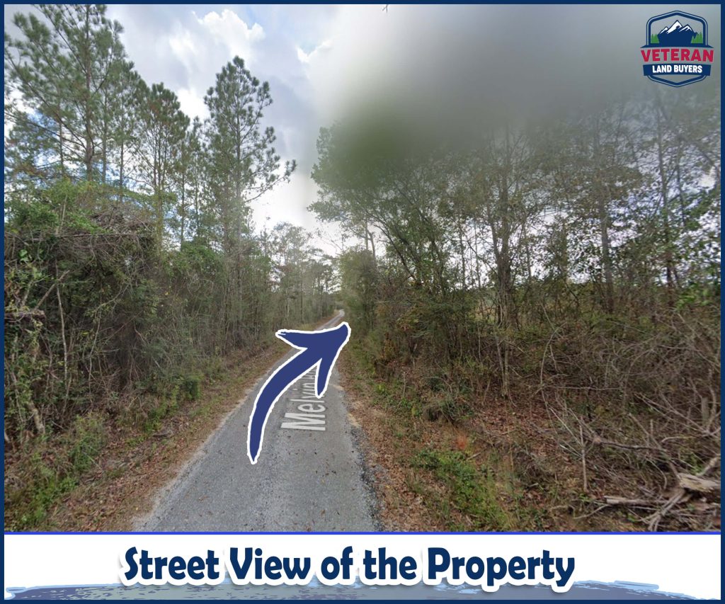 Land for Sale in Perry County MS