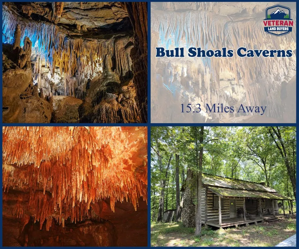 8 Attractions