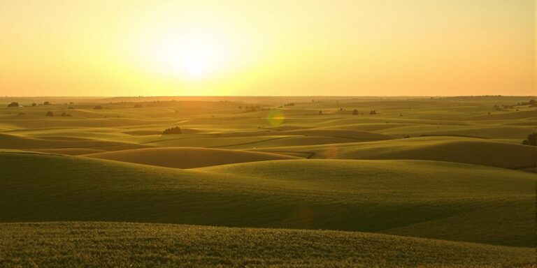 Golden sunset over empty Arkansas farmland, vibrant.
